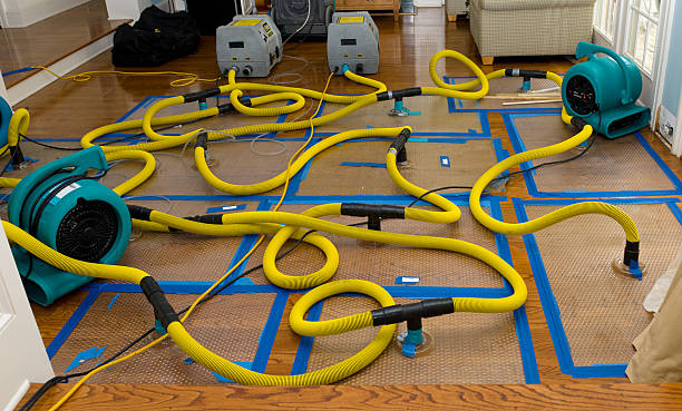 Professional Crawl Space Water Removal technician working in Columbus, TX